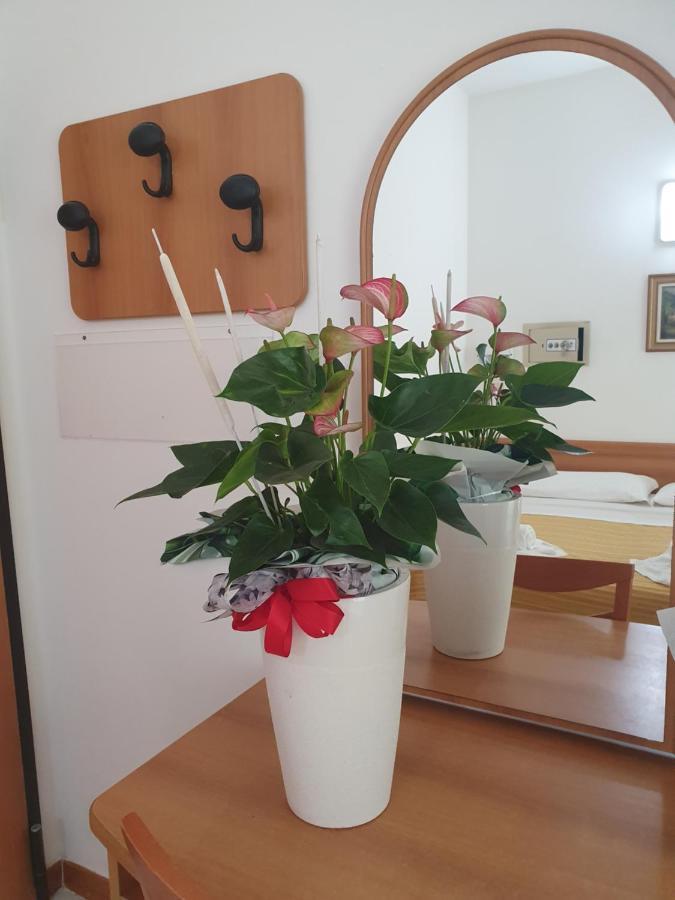 Hotel Venezia San Mauro Mare Bagian luar foto